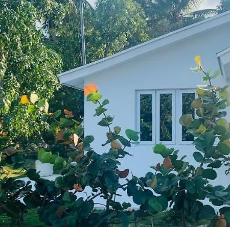 The Cay House Hotel Mangrove Cay Eksteriør billede