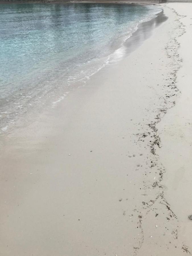 The Cay House Hotel Mangrove Cay Eksteriør billede