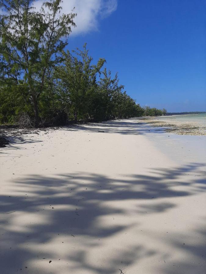 The Cay House Hotel Mangrove Cay Eksteriør billede