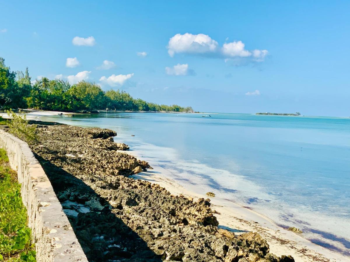 The Cay House Hotel Mangrove Cay Eksteriør billede